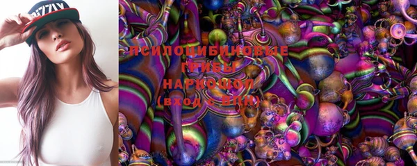 метадон Новодвинск