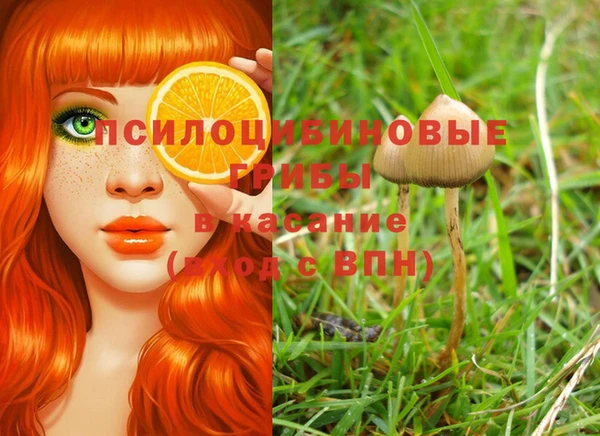 метадон Новодвинск